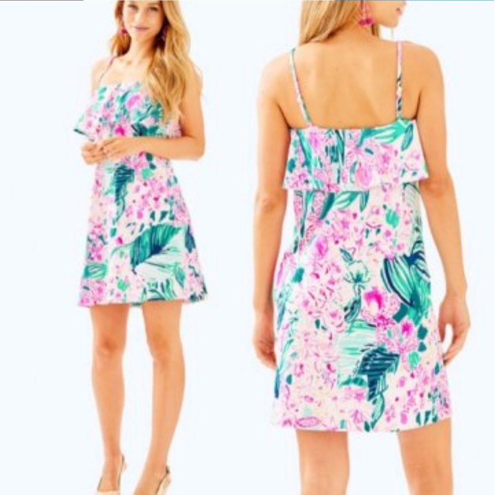 Lilly Pulitzer Annastasha Dress size XS